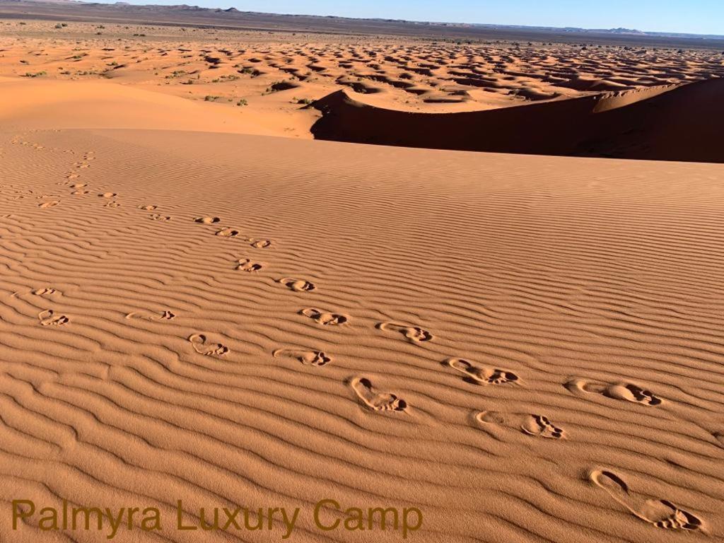 Отель Palmyra Luxury Camp Мерзуга Экстерьер фото